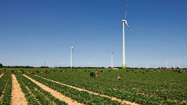 Landwirtschaft Feldarbeit