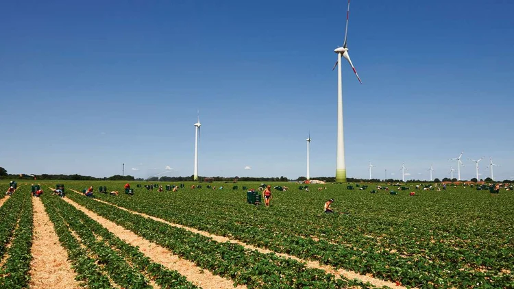 Landwirtschaft Feldarbeit