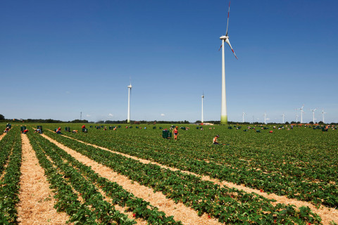 media/image/Landwirtschaft_Feldarbeit.jpg